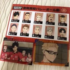 ハイキュー!! ゴミ捨て場の決戦まとめ