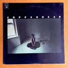 Item thumbnail for item 43345410-c20c-40b6-9e16-b30002dffceb