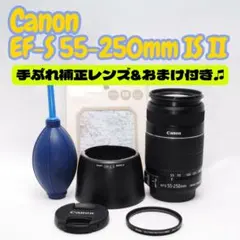 イベントに✨手ぶれ補正✨Canon EF-S 55-250mm IS望遠レンズ - メルカリ