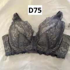 ⭐*！様 ヘヴンジャパン D75 どんとこいブラ 脇肉すっきり！　育乳のサムネイル