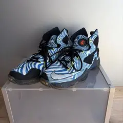 NIKE ナイキ レブロンジェームス
