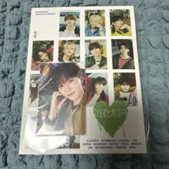 SEVENTEEN　スングァン　消費期限　carat盤