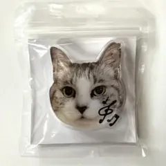 未使用 アフタヌーンティー Cat’s NapTime スマホグリップ 猫 ネコ