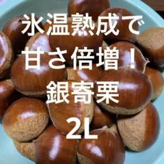 2025年最新】生栗 銀寄の人気アイテム - メルカリ