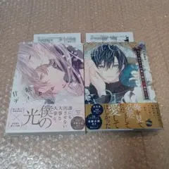 緋汰しっぷ先生　新刊コミック2冊セット