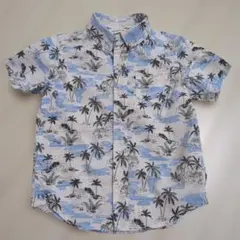 Item thumbnail for item 515a7b7b-6ad2-441d-9e1a-72a74fdc7d0c