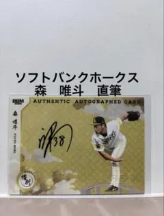 Item thumbnail for item a6ccf8ef-2d3c-45e3-af53-6320e174d6b0