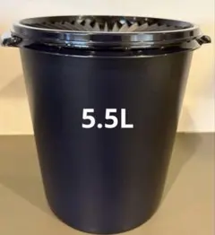 新品】Tupperware マキシデコレーター 5.5L パープル 2個セット - メルカリ