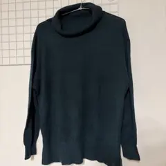 earth music&ecology タートルネックセーター ニット