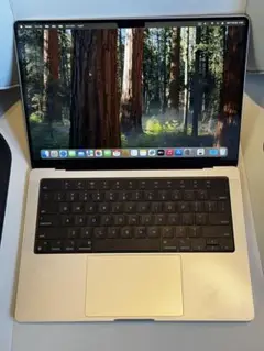 Apple MacBook Pro 14“ M1 Max 64GB US
