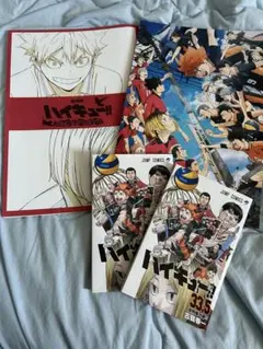ハイキュー!! ゴミ捨て場の決戦　33.5巻　パンフレット