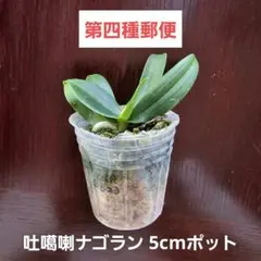 なおなお☆様 リクエスト 2点 まとめ商品