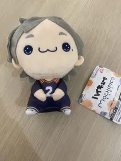 ハイキュー!! もちぴこぬいぐるみ5 菅原孝支
