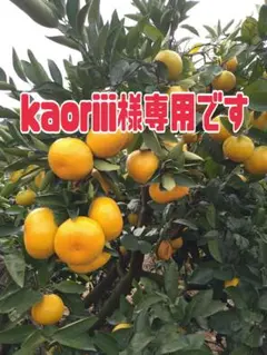 kaoriii様専用です