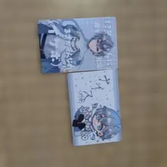最終お値下げ！からぴち　トレーディングカード　ヒロくん