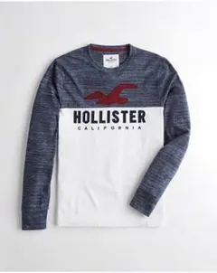 ゆっくー様専用Hollister ロングTシャツ ネイビー メンズ LOGO