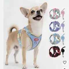 リードセット付き 犬用猫ハーネス、Lサイズ ダスティブルー　子猫と子犬　新品のサムネイル