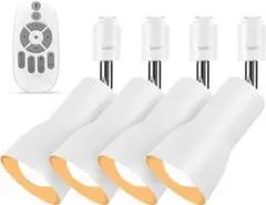 Item thumbnail for item ccbdf19a-a34b-4706-b036-be8f64dd6f2d