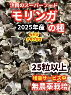info GENKI様 リクエスト 2点 まとめ商品