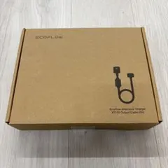2026年最新】ecoflow alternator chargerの人気アイテム - メルカリ