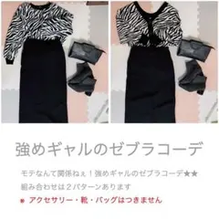 コーデ売り.まとめ売り.生産終了.ゼブラ.ギャル.モード.韓国.L〜LL