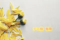 チミ様 専用ページ