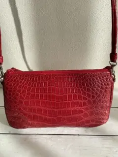 美品 ヴェルサーチ フリンジ ライオン ショルダーバッグ レッド - メルカリ