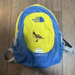THE NORTH FACE HOMESLICE リュック