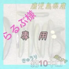 らるぶ様専用　10キロ
