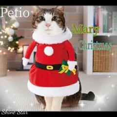 Item thumbnail for item 248afeb1-e04a-495c-8687-1eb0246d2310