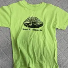 この木なんの木　tシャツ キッズ 120 hanesのサムネイル