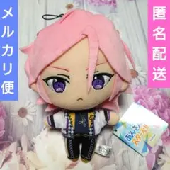 あんさんぶるスターズ!! ぬいぐるみ Crazy:B 桜河こはく あんスタ ④