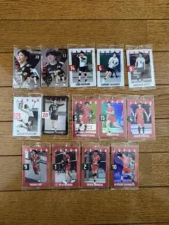 日本代表バレーボールトレカ(14枚セット)