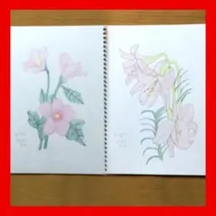 今年89歳になるおばあちゃんの鉛筆画【カンパニュラ】イラスト 絵画