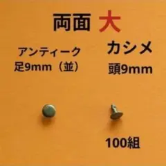 Item thumbnail for item 3dff750f-5982-4fd2-a033-e45a5ef7d893