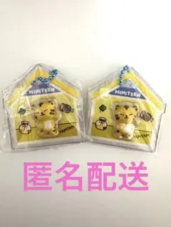MINITEEN TAMTAMセット 新品未開封 - メルカリ