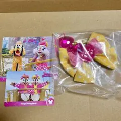 ディズニーパルパルーザ　ミニパル　キーチェーン カード