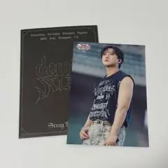 StrayKids チャンビンdominATE VRライブ ランダムトレカ②