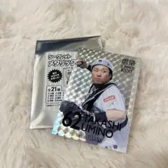 ホークス 海野 シークレットメタリックカードのサムネイル