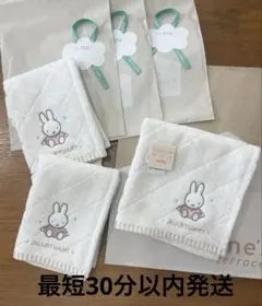 JILL STUART ミッフィー タオルハンカチ 3枚セット
