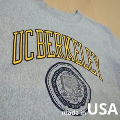 【赤単色タグ復刻】2段ラバープリント リバースウィーブ カレッジスウェット L