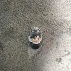 僕のヒーローアカデミアおくるみますこっとチャーム飯田天哉