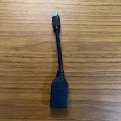 DisplayPort to Mini DisplayPort 変換ケーブル