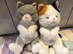 ヘソ天ねころにゃんセット！