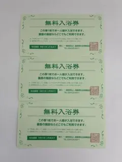 【３枚セット】福島県 無料入浴券 温泉　チケット　有効期限 令和9年3月末までのサムネイル