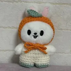 skzoo 10cm ぬい服　もぎたてみかん　straykids リービット