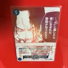 ワンピース カード 力に屈したら男に生まれた意味が エース プロモ 3周年 トレ