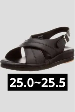 Item thumbnail for item c8bacc52-bd8a-413c-a6c2-fadb1f278469