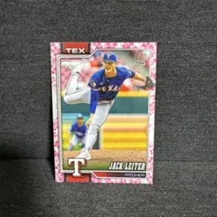 Item thumbnail for item 14909006-09b3-488c-a143-246ebd2f7476