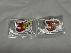 ポケモン 30周年 メタルチャームマスコット 2種セット ピカチュウ ヒトカゲ